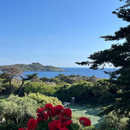 5 With Pool Near The Sea Hyeres