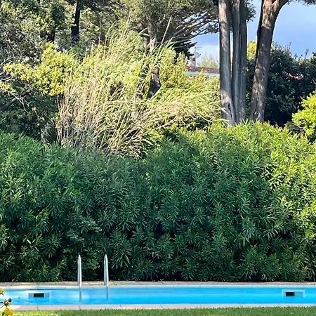 5 With Pool Near The Sea * Hyères